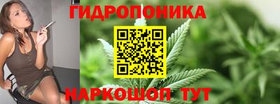 трава Абакан
