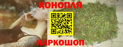 стафф Волгодонск