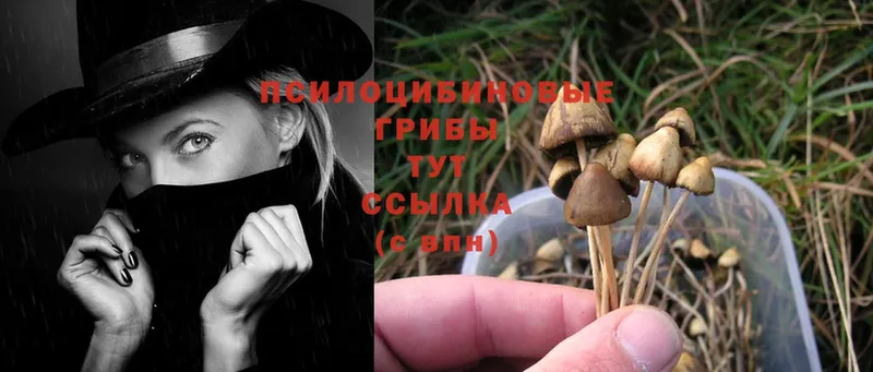 ОМГ ОМГ ONION  Волгоград  Галлюциногенные грибы Magic Shrooms 