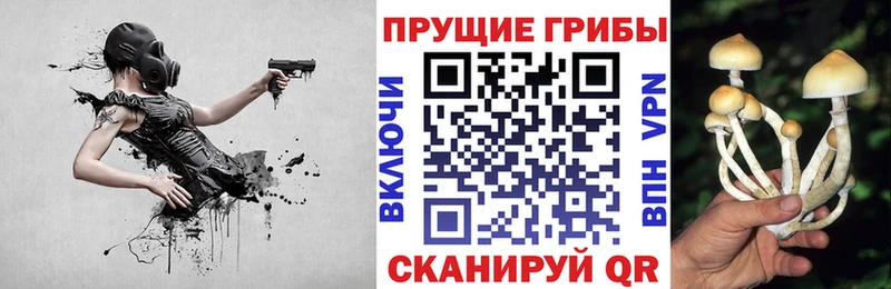 купить  сайты  Волгоград  МЕГА сайт  Галлюциногенные грибы GOLDEN TEACHER 