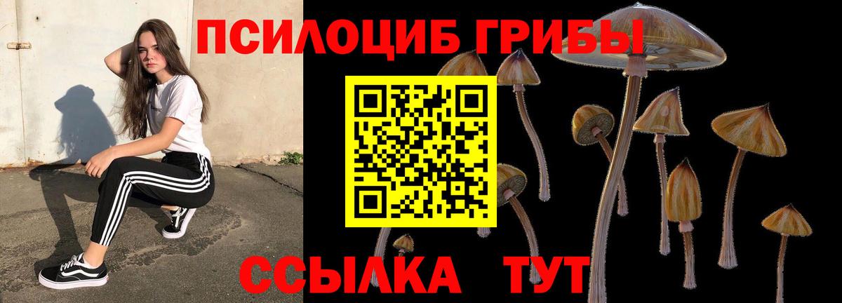 Псилоцибиновые грибы мицелий Волгоград