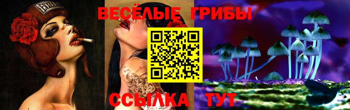 купить наркотик  Вход с VPN  Волгоград  Галлюциногенные грибы ЛСД  Галлюциногенные грибы MAGIC MUSHROOMS 